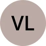 VloggerAliPK Youtube account logo