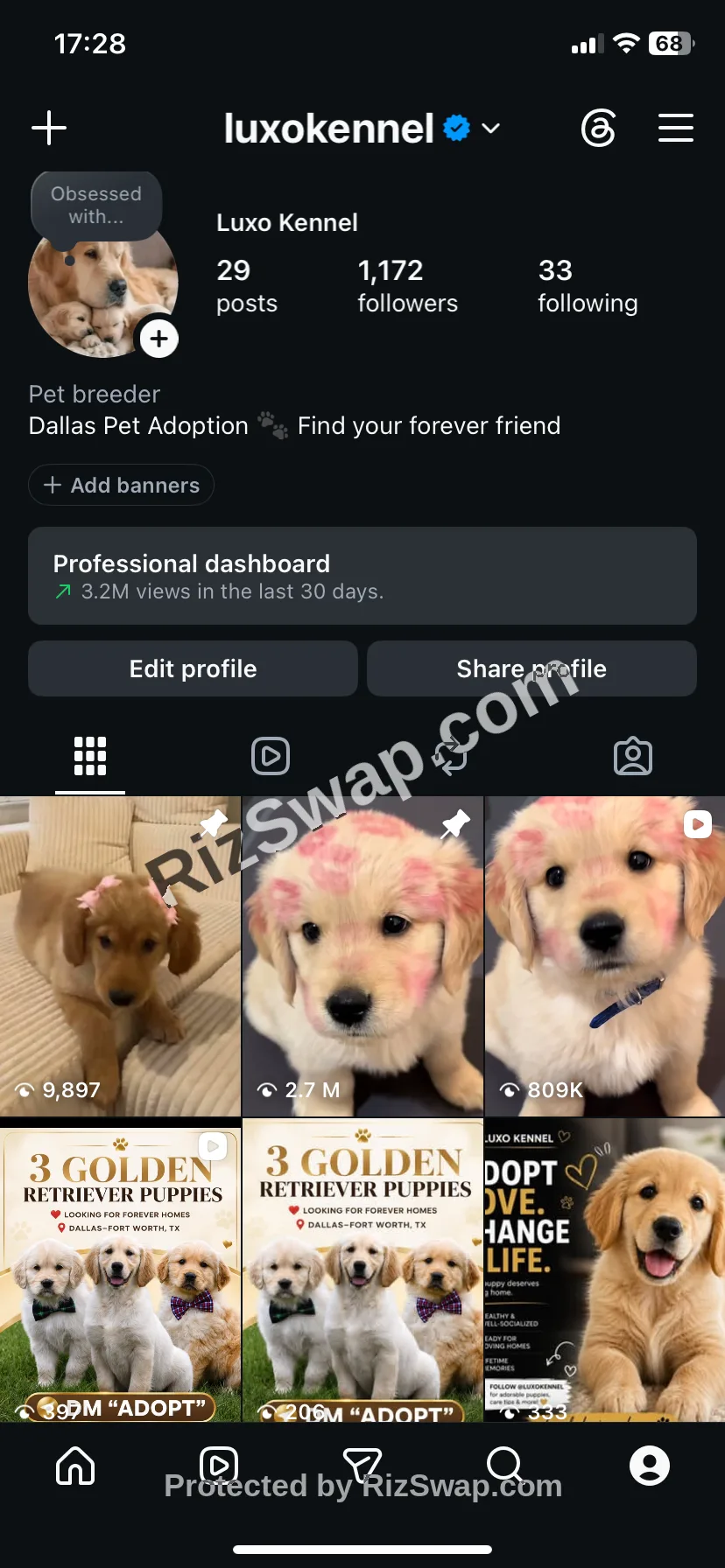 luxokennel Instagram Account Screenshot 1